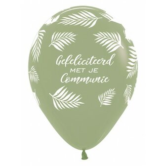 Ballon 45cm communie feathers