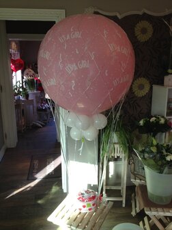 Grote ballon voor baby in net