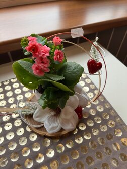 Bloemstuk vaste plant