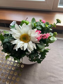 Bloemstuk vaste plant