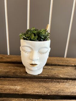 bloempot XXS gezicht met plant