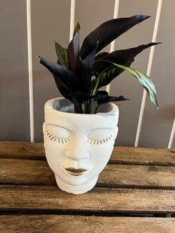 bloempot S gezicht met plant