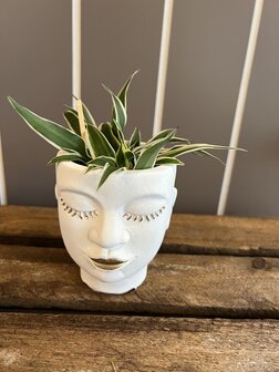bloempot XXS gezicht met plant