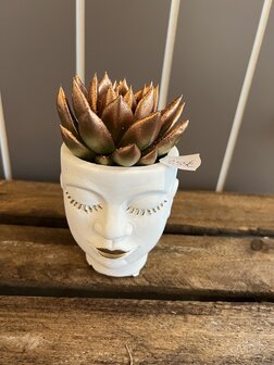 bloempot XXS gezicht met plant brons
