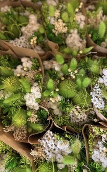 DB boeket wow Verde