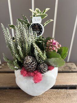 Bloemstuk vaste plant