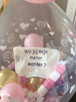 Opgevulde Ballon &quot;wil je mijn meter worden&quot;