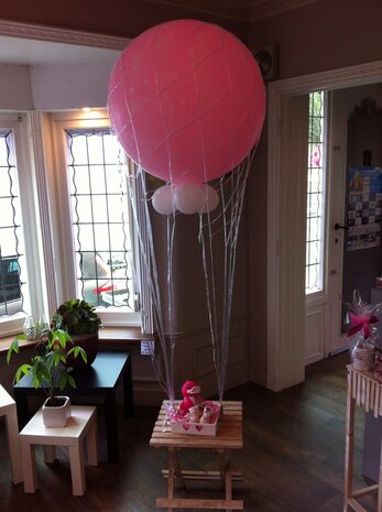 Grote ballon voor baby in net