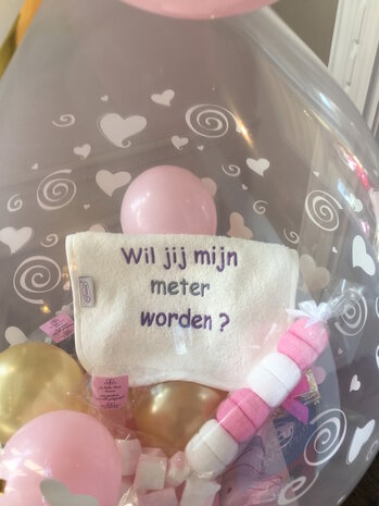 Opgevulde Ballon "wil je mijn meter worden"