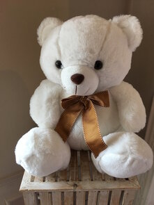 teddybeer wit 35cm