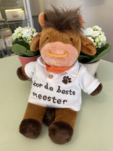 Knuffel koe Voor de beste meester