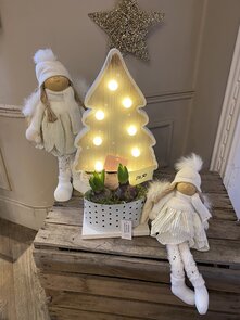 Kerstboom met verlichting en 2 hyacinten