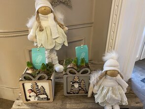 Houten box kado met hyacint 