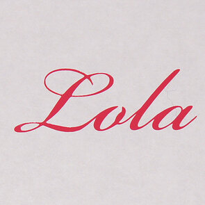 Vinylstickers medium (5-10cm)- max hoogte 4cm