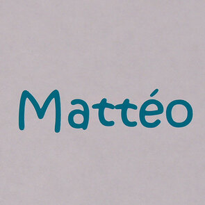 Vinylstickers large (10-20cm)- max hoogte 8cm