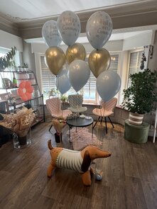 Ballonset Communie teckel 