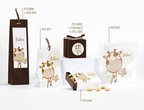 Giraf bruin Kubusdoosje met wikkel