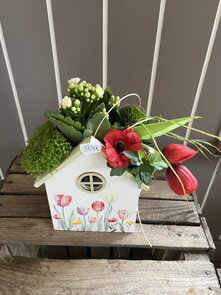 Paasstukje vaste plant (lang houdbaar) rode tinten